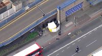 Teenage boy stabbed girl, 15, to death 'with 'a machete after argument that began with him trying to give her flowers' on bus to her £16,000-a-year private school in Croydon
