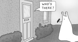 Things Lie About Their Identities Just Like People Do