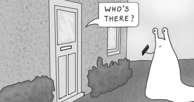 Things Lie About Their Identities Just Like People Do