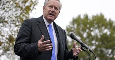 Former Trump White House aide Cassidy Hutchinson wrote in her new book that ex- Chief of Staff Mark Meadows (pictured) accidentally got drunk on White Claws at a Monday morning meeting.