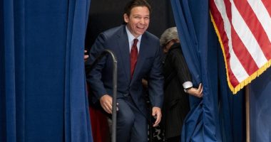 Tucker Carlson Fires Back After Book Author Gives Ron DeSantis the Mitt Romney Treatment With Dog Claim