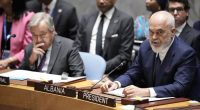 UNGA Briefing: Permanent observers, more Security Council and what else is going on at the UN