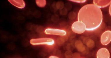 Knowing the difference between good and bad cholesterol and how it can affect your health