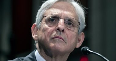 WATCH: Not Even Merrick Garland Was Falling for Hank Johnson's Clarence Thomas Nonsense During Hearing
