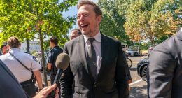 Wailing and Gnashing of Teeth Commences After Elon Musk Fires Half of His 'Election Integrity' Team