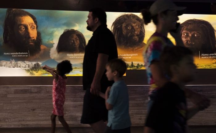 We carry DNA from extinct cousins like Neanderthals. Science is now revealing their genetic legacy
