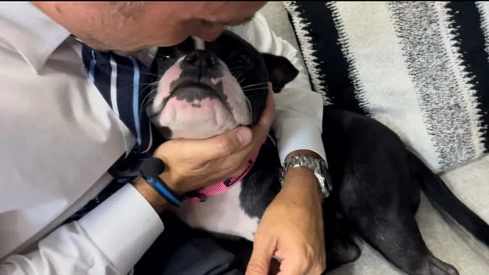 We love a good pupdate: Where’s the dog Trooper Steve rescued?