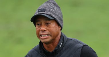 The Ex Tiger Woods And RHOBH Star Paul 'PK' Kemsley Have In Common