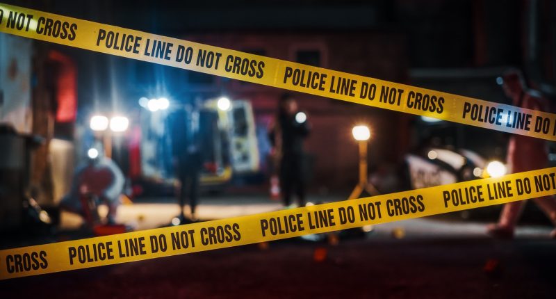 What We Know About Jason Billingsley, Suspect In The Murder Of Tech Star Pava LaPere