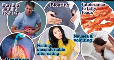 Pictured above are the symptoms of peptic ulcer disease, according to doctors