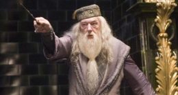 Michael Gambon Wife