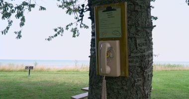 Wind Phone: The bridge between you and lost loved ones