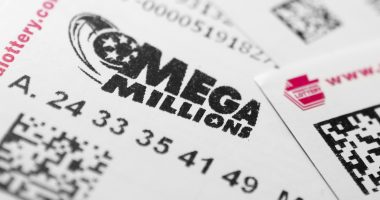 Winner of $1.6B Mega Millions jackpot comes forward