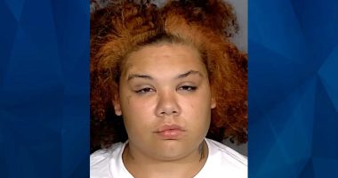 Woman Critically Wounds Niece While Trying to Stab Dog That Ate Her Sandwich