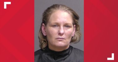 Woman arrested, accused of fleeing 'drug house' in Flagler County