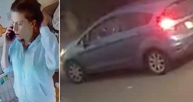 Woman is arrested after missing Jamie-Leigh Kelly's three-year-old daughter and newborn baby boy are found in Essex home 90 miles away from where family vanished outside centre in north London