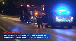 Woman killed in Washington Park hit-and-run on martin Luther King Drive, Chicago police say