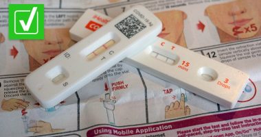 Yes, the government is sending out free COVID-19 tests again