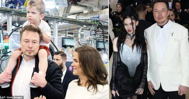 Musician Grimes is suing her billionaire ex Elon Musk over the parental rights of their three children. The performer, real name Claire Boucher, filed a 'petition to establish parental relationship' on September 29 in a California court. The petition is a means of identifying a child's legal parents when they are unmarried.