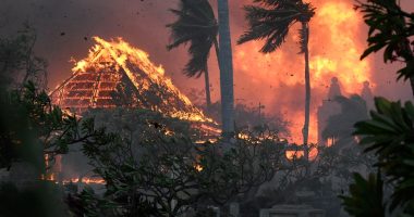 A woman who fled the Maui wildfire on foot has died after weeks in a hospital burn unit