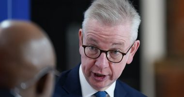 ANDREW PIERCE: Who's got it in for Michael Gove's net zero flip-flop?