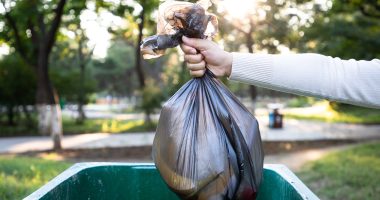 Americans are only just realizing you can be fined up to $50k or even jailed for throwing 5 common items in the trash