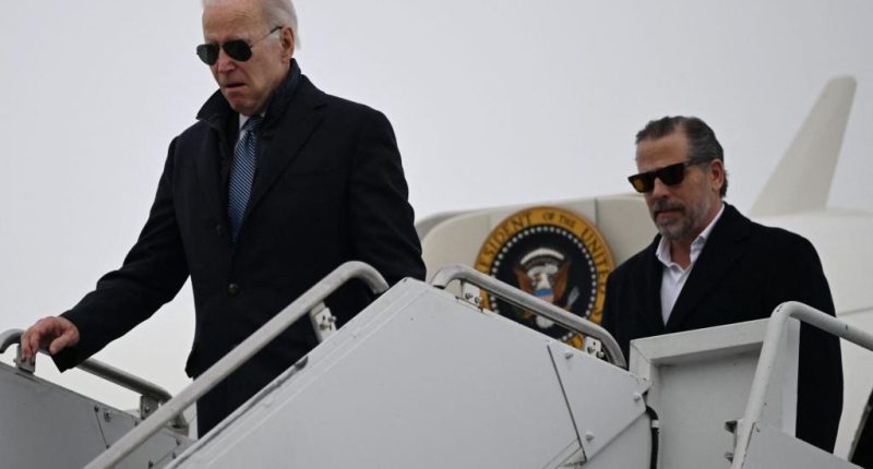 Anatomy of a Biden family 'coverup' executed by our own FBI and DOJ