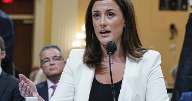 Former White House aide wrote in her new book Enough that former President Donald Trump once told his former Chief of Staff Mark Meadows, 'I don't want people to know we lost, Mark. This is embarrassing'