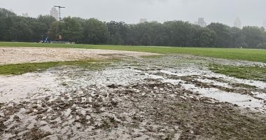 New Yorkers will have to wait until April 2024 at the earliest to use the Great Lawn in Central Park after around a third of the space was 'completely destroyed'