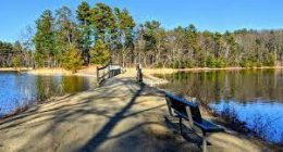 Charlotte Sena who went missing at Moreau Lake State Park is now being searched by over a hundred of personnel. (Photo: Alabany.com)