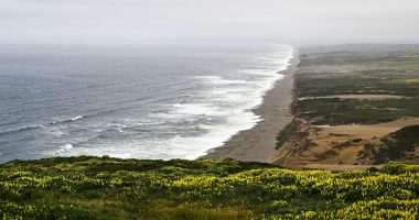 Coast Guard searches for missing person after possible shark attack in California