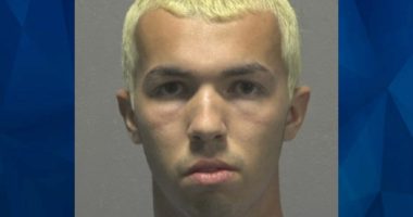 College Student Babysitter Charged with Sex Crimes Against Children