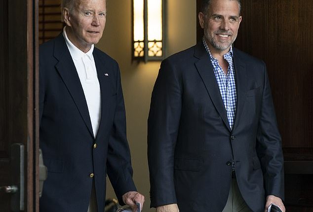 According to the conversation between a confidential source and Burisma CFO Vadim Pojarski in 2015, Hunter Biden was hired onto the company's board to 'protect us, through his dad, from all kinds of problems'
