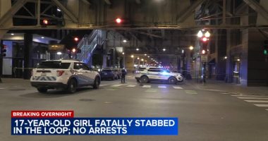 Girl, 17, stabbed to death on Van Buren Street in Loop, Chicago police say