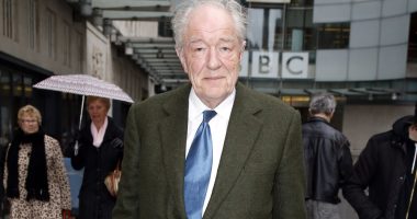 'Harry Potter' Dumbledore Actor Michael Gambon Passes Away