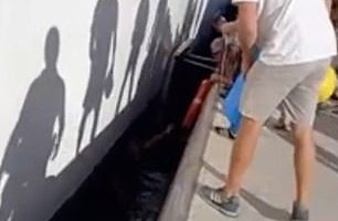 Security guards and volunteers managed tp pull the boy's father out of the water with the help of a life ring