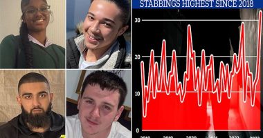 Inside the Lawless London borough plagued by knife crime: How Croydon has suffered its highest number of stabbings in FIVE YEARS with three knife attacks in just a week that left Elianne Andam, 15, dead and boy, 17, wounded