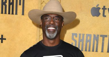 Why Grey's Anatomy Star Isaiah Washington Is Totally Done With Acting