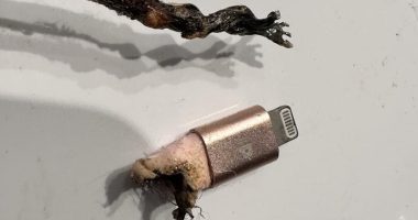 My iPhone charger almost set my house on fire this morning - learn from my mistake so it doesn't happen to you