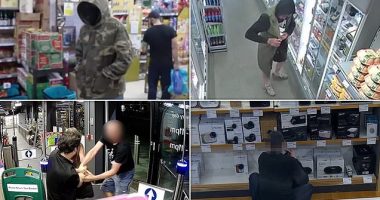 New national police intelligence unit to crackdown on shoplifters: Squad will finally treat crime on par with robbery, burglary and fraud as organised gangs plunder Britain's high streets, garden centres and even charity shops