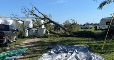 North Florida farms struggling to recover month after Hurricane Idalia