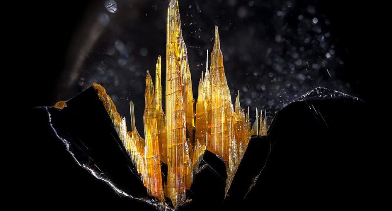 This castle-like golden rutile in quartz was snapped by Danny Sanchez from California. The inclusions are needle-like strands that are often reddish or golden in appearance. The stunning stone is popular among the spiritual community as people believe the quartz enhances the ability to provide new opportunities and direction. This image won honorable mention