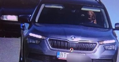 PHOTO - Slovakian Police: Driver Fined After Dog Jumps Behind Wheel