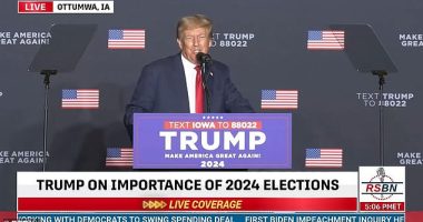 Former President Trump  said he would choose electrocution over shark attack 'every single time'