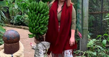Jodie Hudson, from Worksop in Nottinghamshire, swapped cigarettes for vapes two years ago as a less harmful alternative. The 26-year-old would vape 'anywhere and everywhere' and had no intention of quitting. But last week on September 24, after suddenly experiencing severe bouts of dizziness and breathlessness leaving her unable to walk around the house, she was rushed to A&E at Bassetlaw Hospital