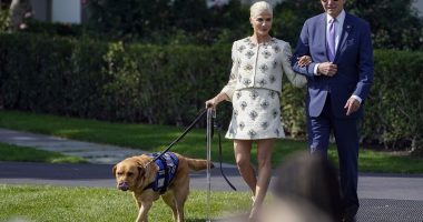 What's that on your face, Joe? Biden shows off what appears to be a bruise as he invites Selma Blair to the White House to discuss her battle with MS with her service dog Scout