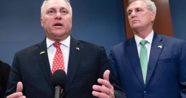 Who is Steve Scalise? No. 2 House Republican could replace McCarthy