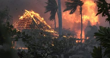 Woman who fled Maui wildfire on foot dies after weeks in hospital burn unit