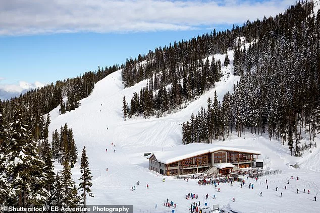 An Adelaide man lost $5,000 to an accommodation scam while looking for a room in Whistler, Canada (above)