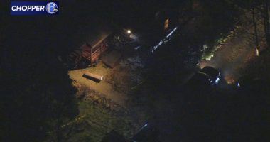 Barton Seltmann accused of killing wife, Margaret Seltmann, after dispute over pet cat's veterinary care in Montgomery County, PA